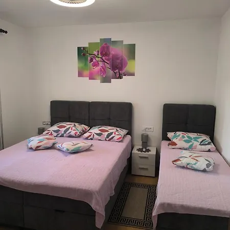 Apartamento Snjezana *