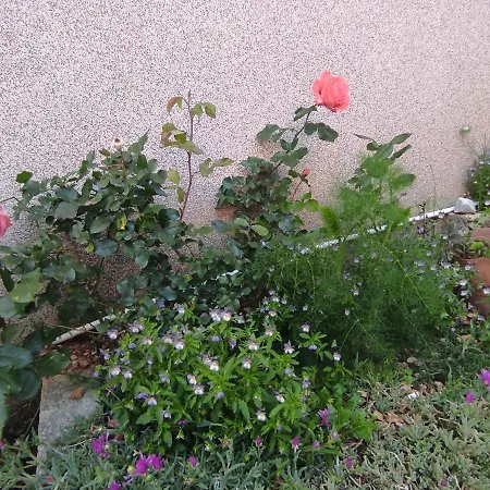 Διαμέρισμα Snjezana *