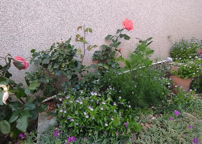 Apartment Snjezana *